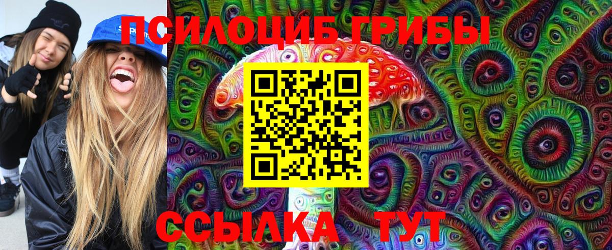 Новотроицк  Псилоцибиновые грибы MAGIC MUSHROOMS  Вход с VPN 