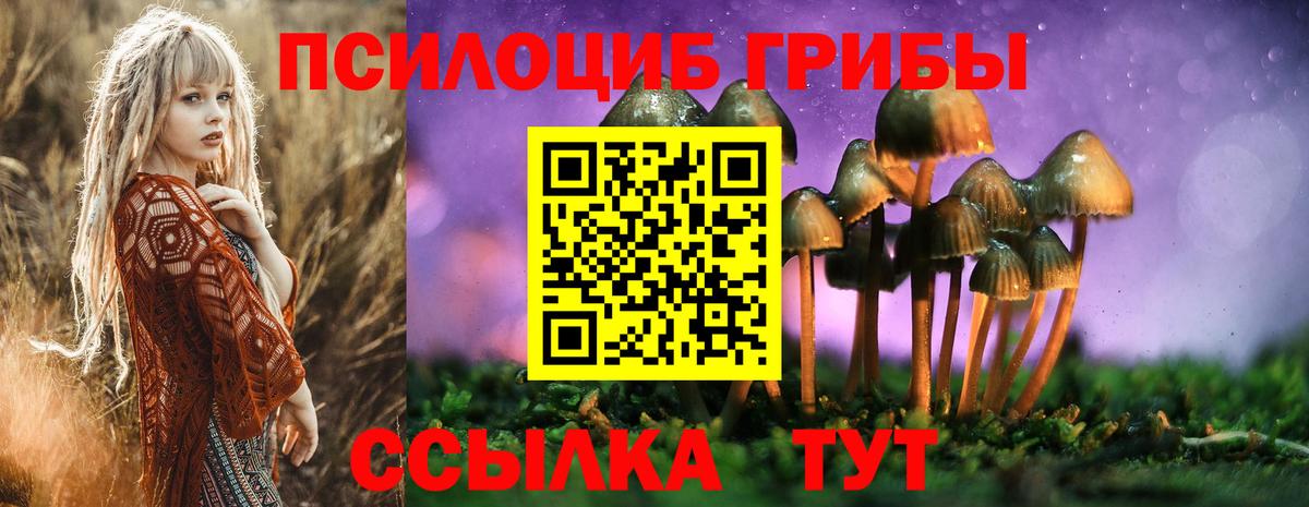 Галлюциногенные грибы мицелий Новотроицк